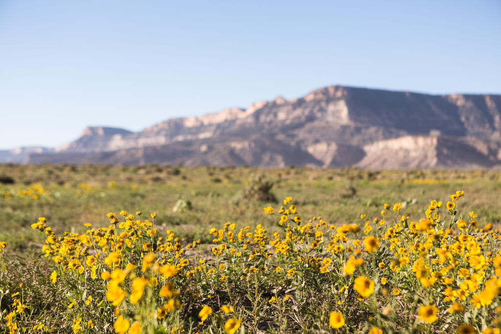 Kayenta Monument Valley Inn Екстер'єр фото